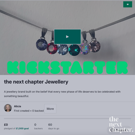 I Just Launched My Kickstarter!